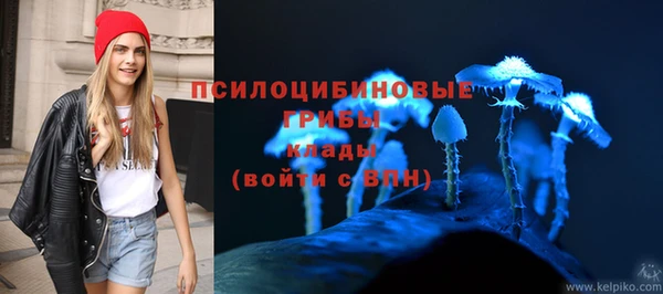 прущие крисы Лабытнанги