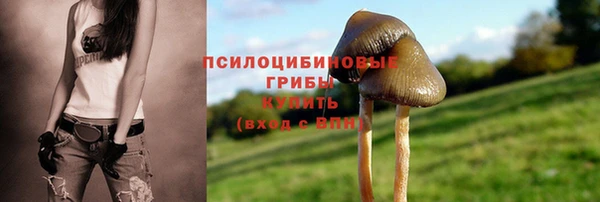 прущие крисы Лабытнанги
